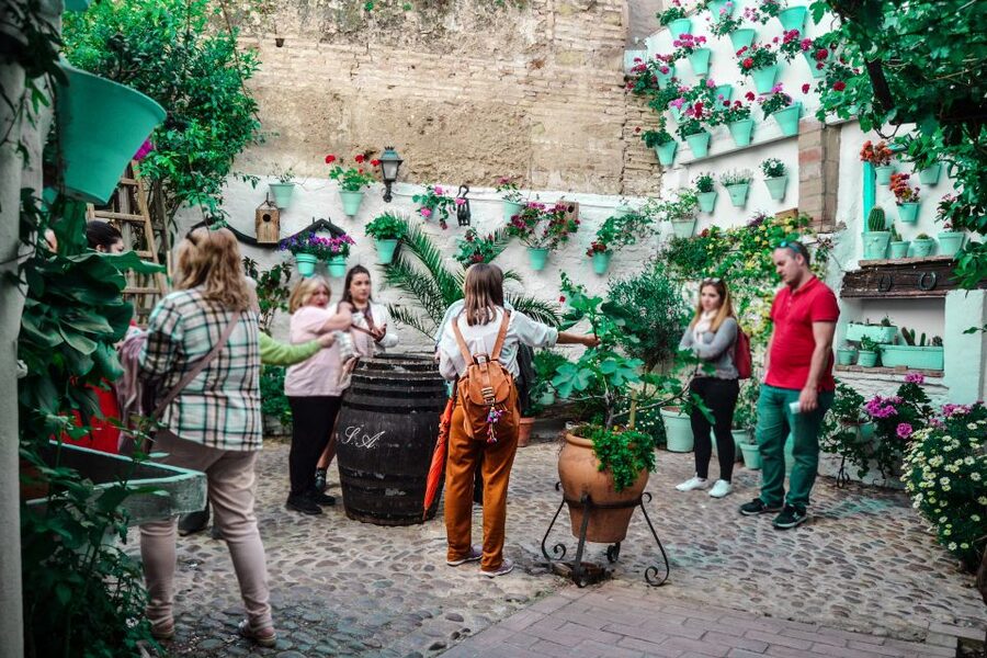 Patios of Cordoba Walking Tour - San Basilio Patios: Why This Walk Feels So Cordoba