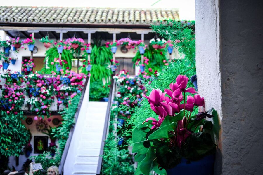 Patios of Cordoba Walking Tour - Entering Courtyards: Flowers, Mosaics, and Cooling Shade