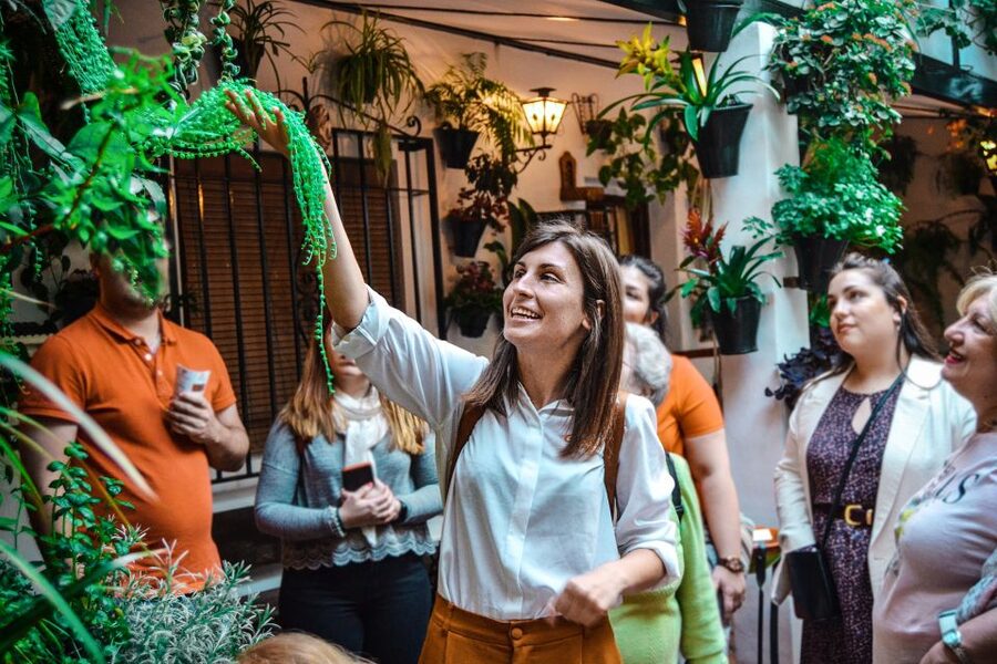 Patios of Cordoba Walking Tour - How the “Battle of the Flowers” Shapes What You See
