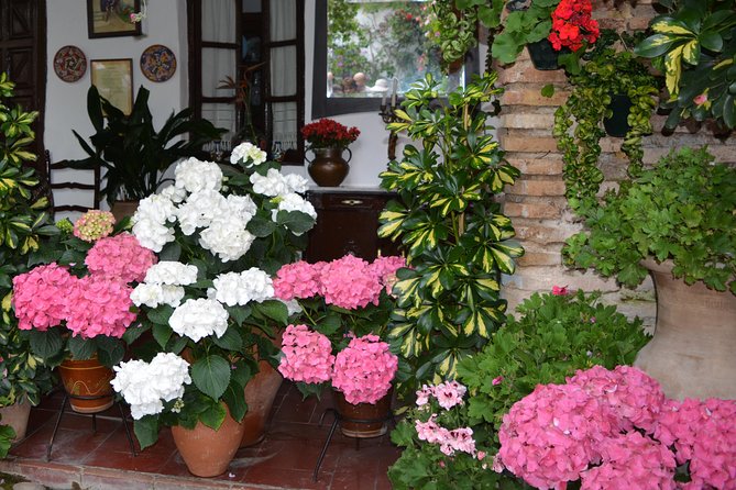 Patios & Perfums of Cordoba Festival Tour - Key things to know before you go