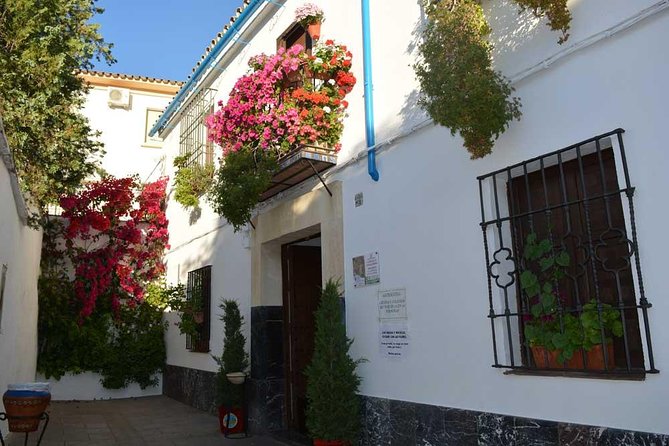 Patios & Perfums of Cordoba Festival Tour - San Lorenzo area: outside views, then more patios, then wine and tapa