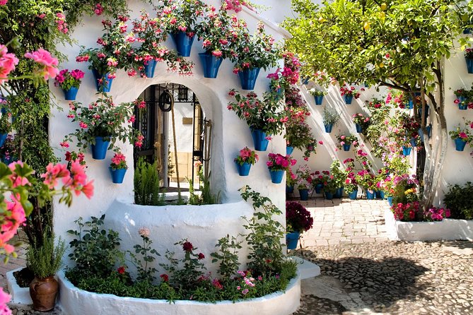 Patios tour in Cordoba - Why Córdoba patios tours feel like you’re walking inside the city’s memory