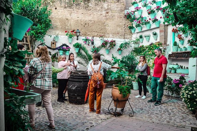 Patios tour in Cordoba - Stop by stop: what your route should feel like