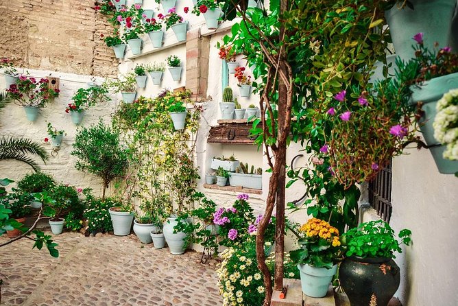 Patios tour in Cordoba - Viana Palace courtyards: palms, flowers, and royal-era setting