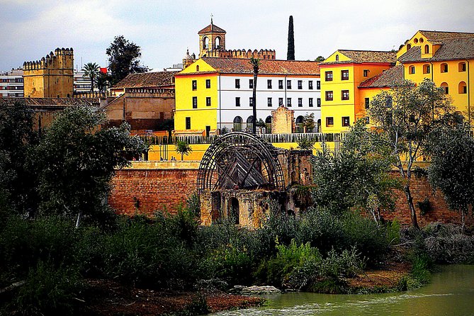 Private 3-hour Walking Tour of Cordoba with official tour guide - Timing, Meeting Point, and How to Start the Day Smoothly