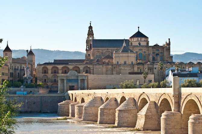 Private 3-hour Walking Tour of Cordoba with official tour guide - Roman Bridge and Ancient Remains: A Quick Stop That Matters