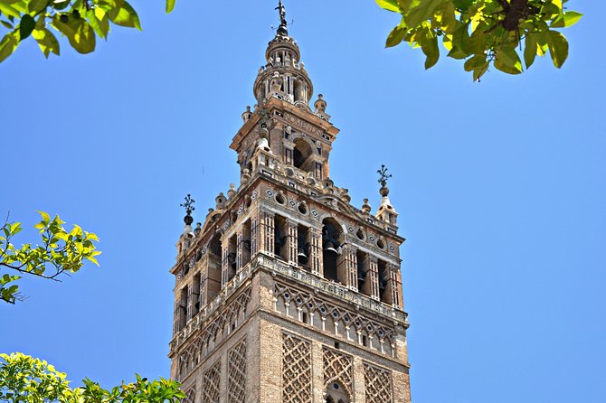 Private Alcazar, Giralda and Cathedral of Seville Tour - Seville Cathedral and the Giralda climb: scale, detail, and city views