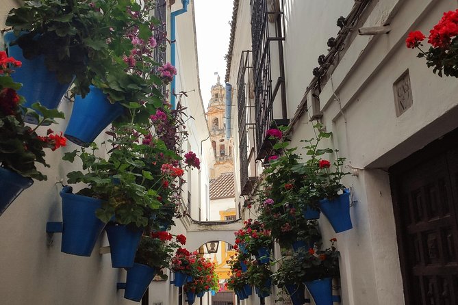 Private Córdoba Highlights Walking Tour - Price of $81.88 per person, and when it feels like a win