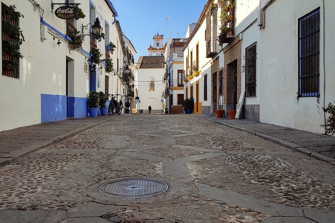 Private Córdoba Highlights Walking Tour - Walking the Historic Centre: streets, patios, and atmosphere