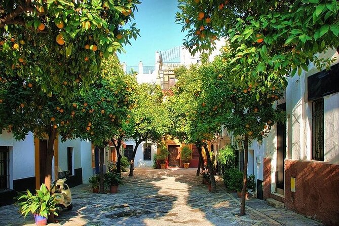 Private Day Trip from Cadiz port to Seville (tickets and transport included) - How the day actually flows: timing, walking pace, and where lunch fits