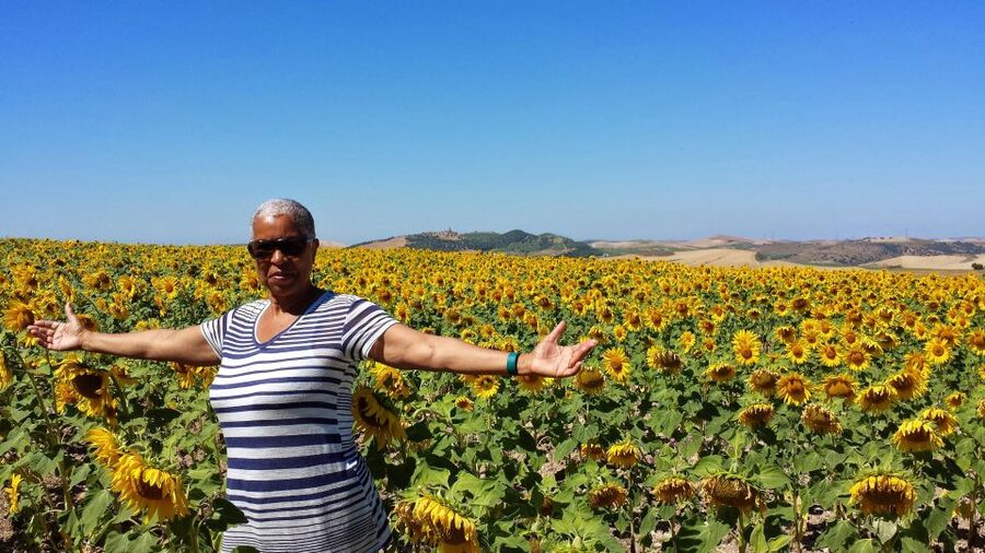 Private Day Trip to Ronda and Malaga from Seville - Seville to Malaga in 12 Hours: What the Day Really Feels Like