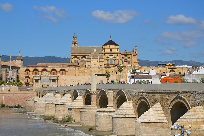 Private Full Day Tour of Cordoba & Medina Azahara with Hotel pick up & drop off - Hotel pickup, private chauffeur, and the Medina Azahara shuttle