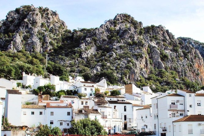 Private Guided Day Trip to the White Villages and Ronda from Seville - Ronda: Puente Nuevo, historic center time, and a real lunch plan