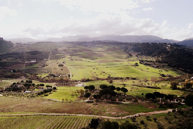 Private Guided Day Trip to the White Villages and Ronda from Seville - Who should book this White Villages and Ronda private day trip