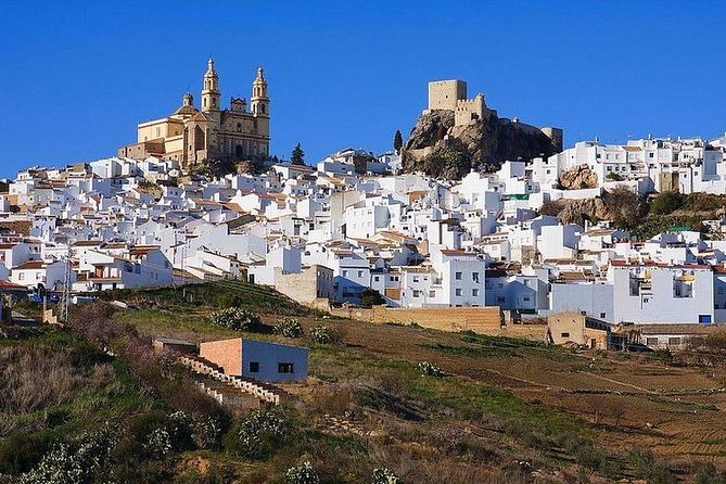 Private Guided Day Trip to the White Villages and Ronda from Seville - Price and what you actually get for $360.53 per person
