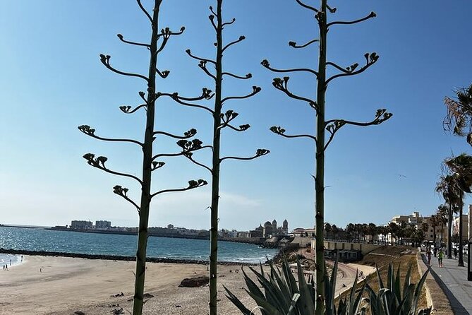 Private tour Cadiz: the city of light - Quick hits before you go