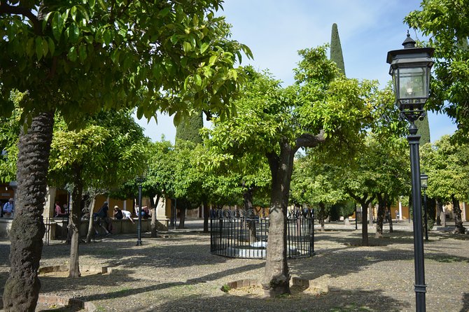 Private Tour of Cordoba Week Days 2 Hours Tickets included - A 2-Hour Private Córdoba Route That Feels Focused, Not Rushed