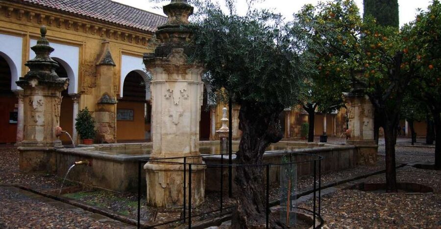 Private Tour of the Mosque-Cathedral and Jewish Quarter - The Jewish Quarter (Judería) Walk: History At Street Level