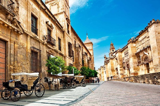 Private tourist route in Córdoba - Courtyards and the Viana Palace: where Córdoba slows down