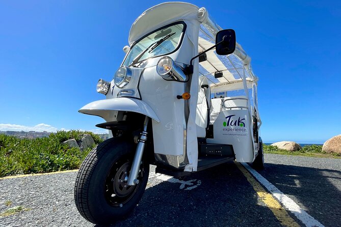 Private VIP Tour in Tuk Tuk Cadiz - Plaza de la Mina and Old Town Squares: Cafés, Culture, and Easy People-Watching