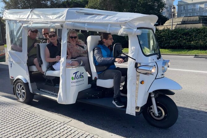 Private VIP Tour in Tuk Tuk Cadiz - Muelle Alfonso XIII to Alameda Apodaca: Port Views That Set the Tone