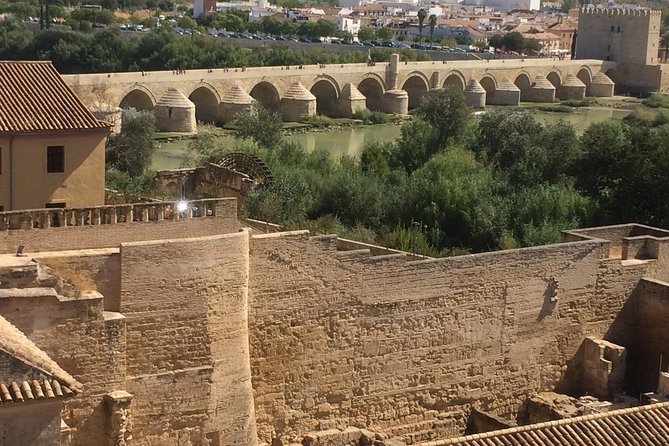 Private Visit Mosque-Cathedral, Jewish quarter, Alcazar and Synagogue - Price and value: why € tickets included can be a big deal