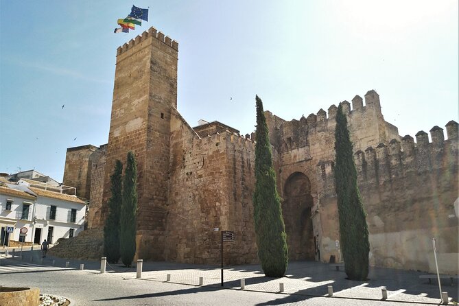 Private visit to Carmona and its main monuments - Timing, meeting points, and practical comfort