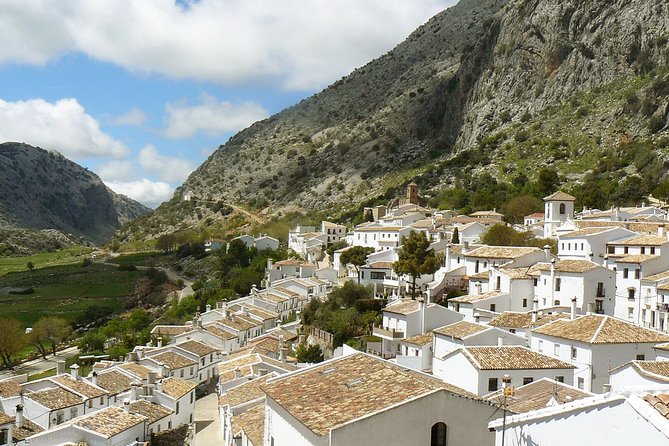 Private White Villages & Ronda Day Tour from Seville - Ronda Walking Time, New Bridge Views, and Room for Photos