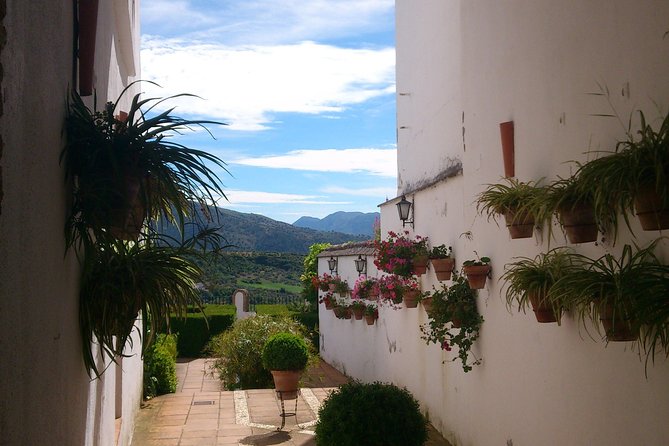 Private White Villages & Ronda Day Tour from Seville - Pickup, Pace, and How the Day Really Feels