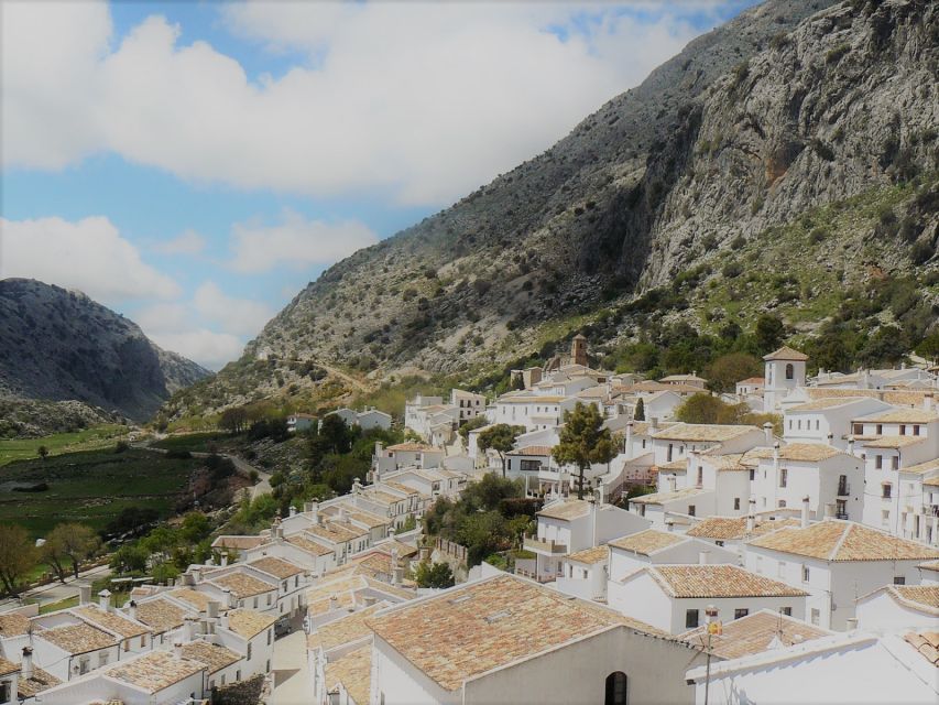 Pueblos Blancos & Ronda: Private Full-Day Tour from Seville - From Seville countryside to Las Aguzaderas, a border story in stone