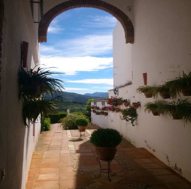 Pueblos Blancos & Ronda: Private Full-Day Tour from Seville - Zahara de la Sierra: coffee time, hilltop views, and olive oil