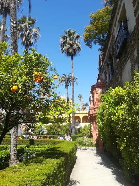 Real Alcázar of Seville Skip-the-Line Private Tour - Stop 1: Starting with the Immaculate Conception Monument
