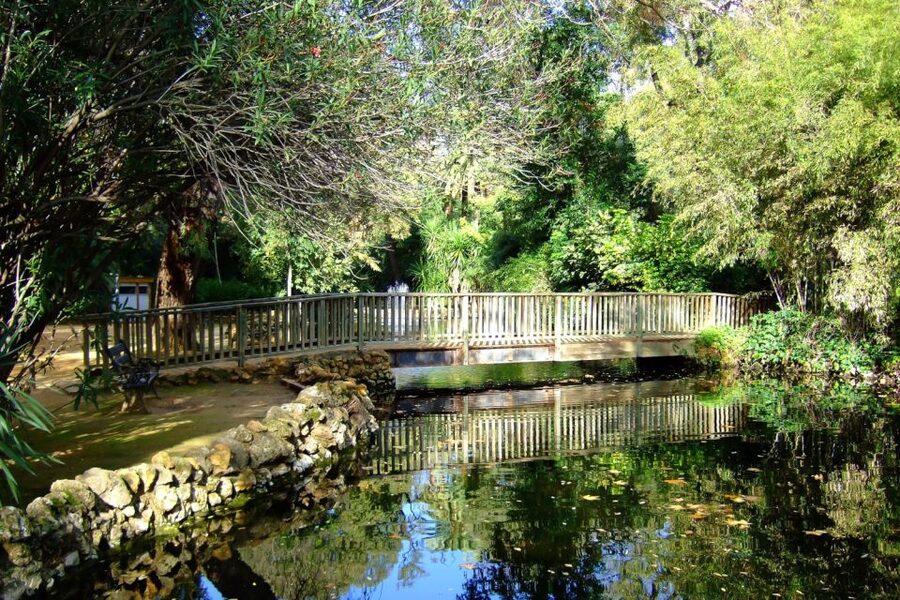 Secrets of Maria Luisa Park and Plaza de Espana - Practical advice for comfortable walking in Seville