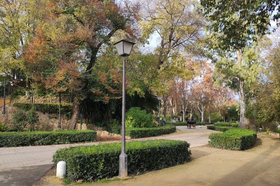 Secrets of Maria Luisa Park and Plaza de Espana - Should you book this tour?