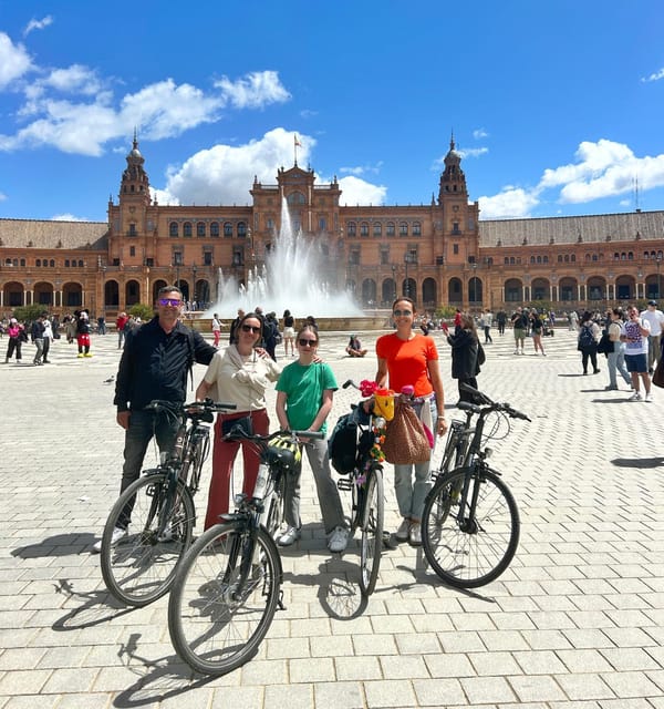 Sevilla: 100% Nederlandstalige Highlights Tour op E-BIKE - Torre del Oro and San Telmo Palace, river views without the long walk