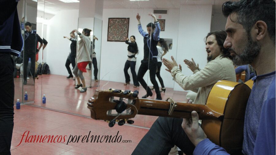 Sevilla : Flamenco Lessons - Picking Dance, Singing (Cante), Or Guitar, What Each Path Really Means