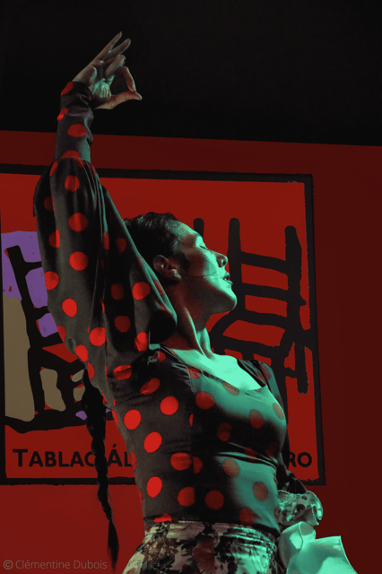 Sevilla: Flamenco Show at Tablao Álvarez Quintero - Entering an 18th-century flamenco house in Seville
