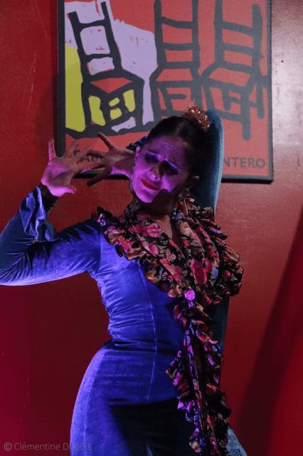 Sevilla: Flamenco Show at Tablao Álvarez Quintero - Dance and singing, where the emotion does the explaining