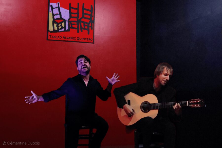 Sevilla: Flamenco Show at Tablao Álvarez Quintero - Seat visibility: plan for the left-side issue