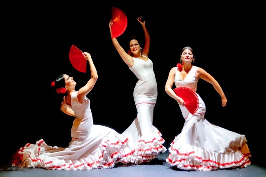 Sevilla: Hop-On Hop-Off & Walking Tours, Cruise & Flamenco - Who Should Book This Combo Sevilla Day?