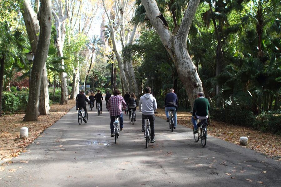 Seville: 1-Day Bike Rental - Why a 1-Day Bike Rental Works So Well in Seville