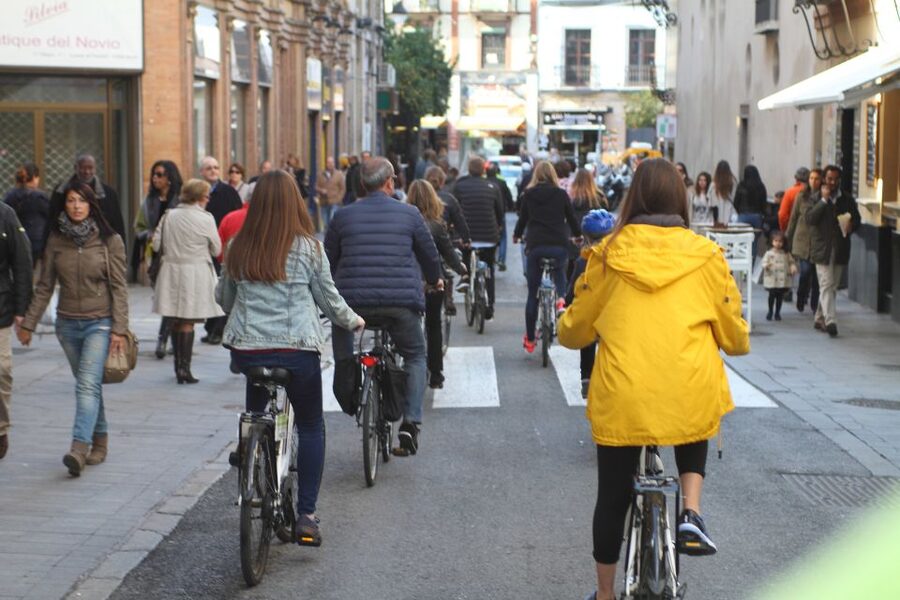 Seville: 1-Day Bike Rental - Your Self-Guided Day: A Simple Route Strategy for Seville’s Historic Streets