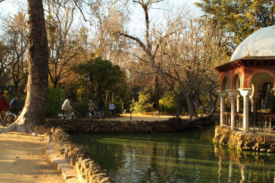 Seville: 1-Day Bike Rental - Safety and Comfort Tips That Keep the Day Fun
