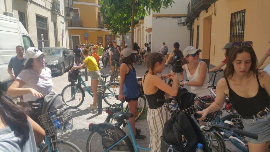 Seville: 1-Day Bike Rental - Who This Bike Rental Fits Best in Seville