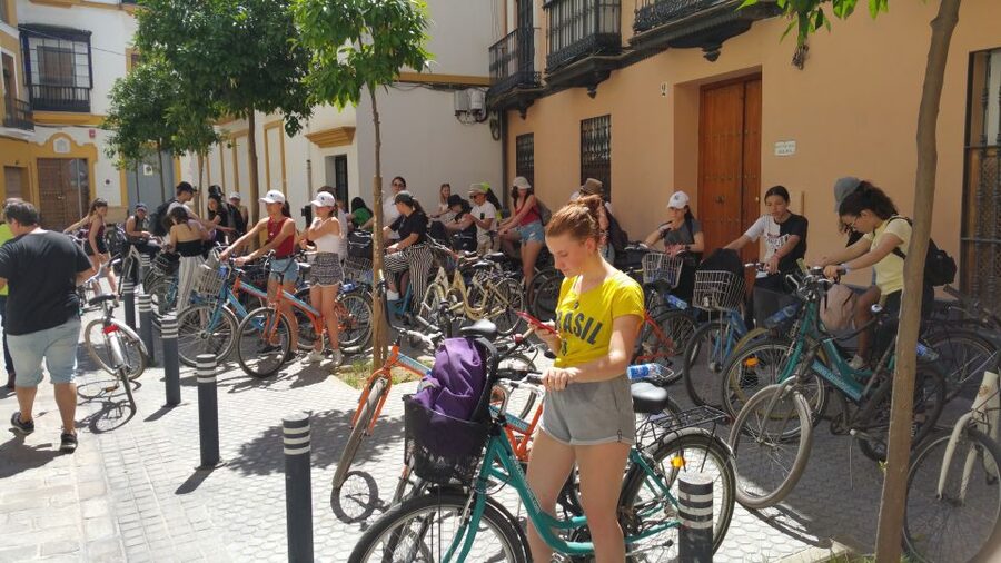 Seville: 1-Day Bike Rental - Should You Book This 1-Day Bike Rental in Seville?