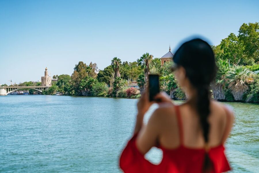 Seville: 1-Hour Guadalquivir River Sightseeing Eco Cruise - Electric Boat Comfort, Cooling Shade, and the Onboard Bar