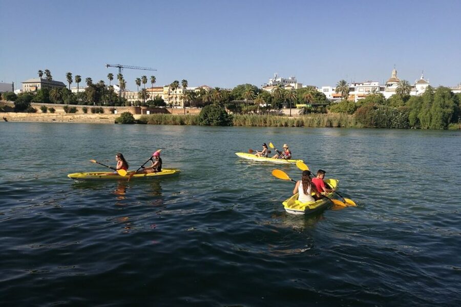 Seville: 2–Hour Guadalquivir River Kayaking Tour - San Telmo and the return: finishing with a final landmark look