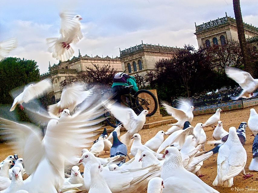 Seville 4-Hour Guided Walking Tour - Santa Cruz and the Old Tobacco Factory: Neighborhood Storytelling