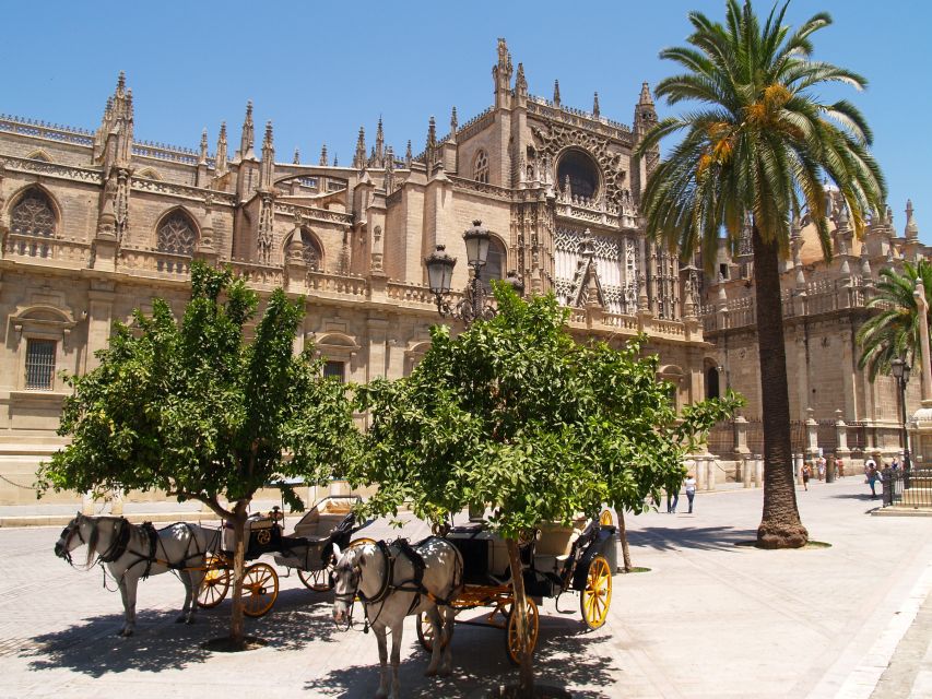 Seville: Alcázar Guided Palace Tour with Priority Access - Islamic Motifs, Baroque and Renaissance Details: How to Look Without Guessing