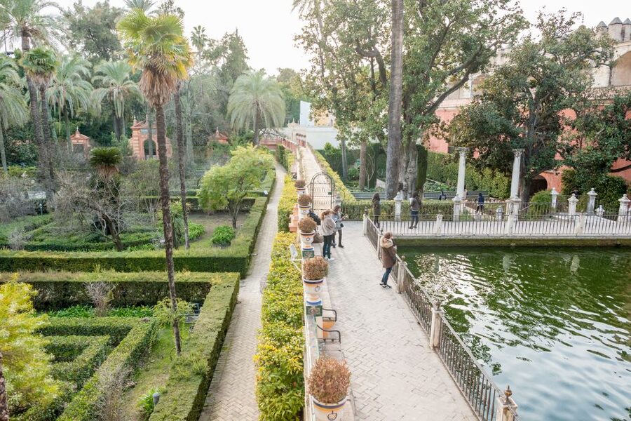 Seville: Alcazar Guided Tour with Entrance - Santa Cruz area time and why it matters after your palace visit